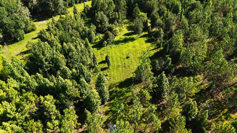 Aerial land assessment photo